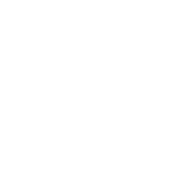 Intellekt BR