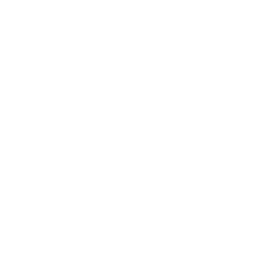 IPPAPI